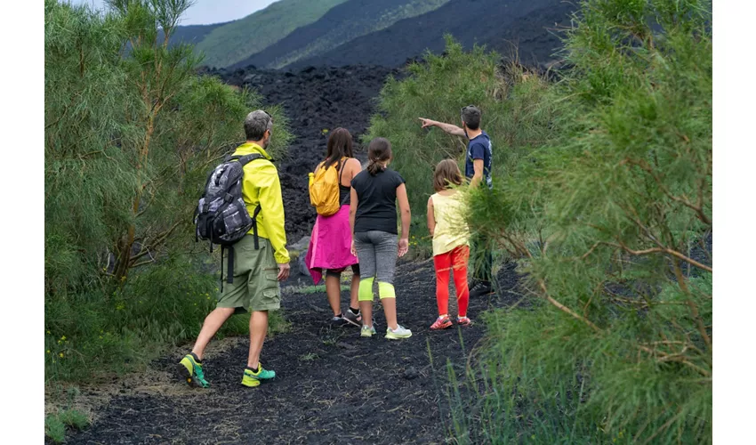 Monte Etna: Excursión guiada de un día desde Catania