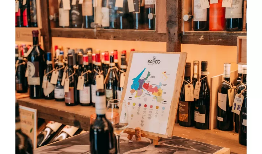 Verona: Cata de vinos Amarone