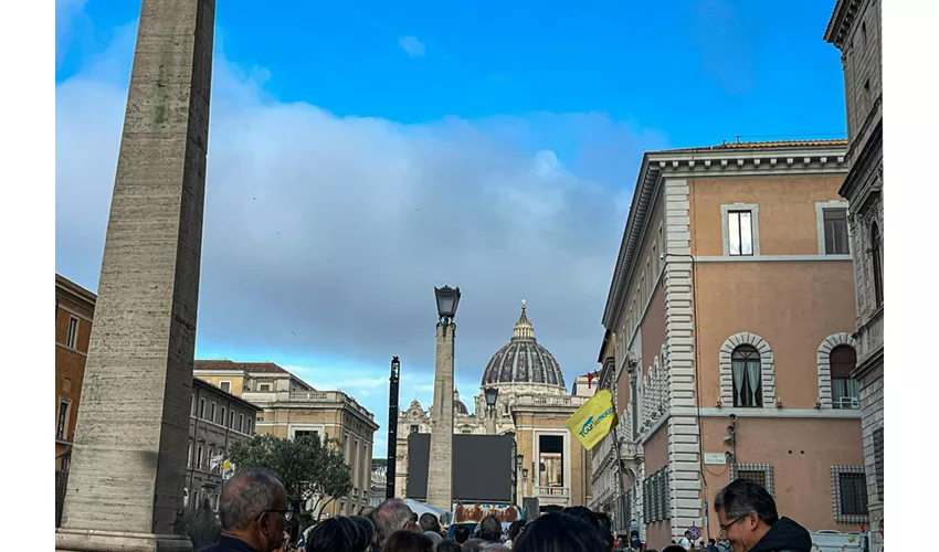 Città del Vaticano: Tour guidato + udienza papale
