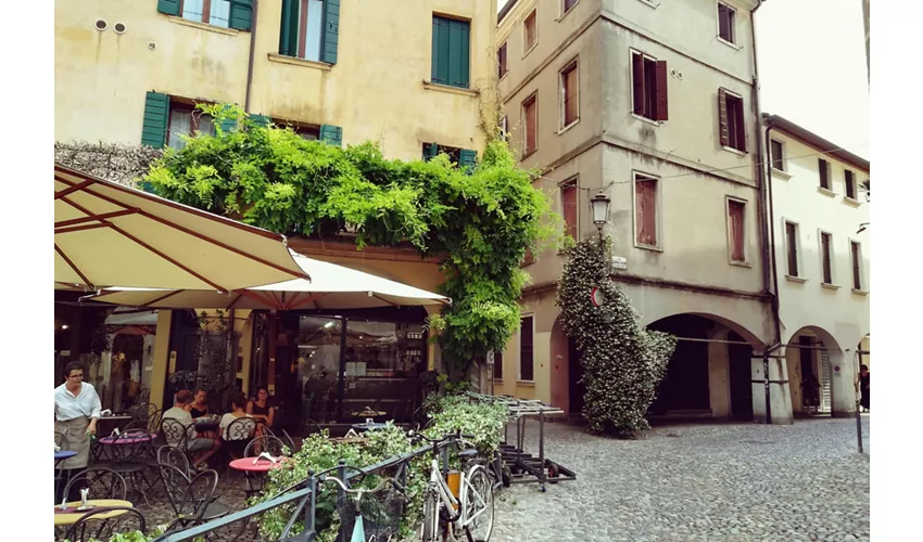 Padova: Visita guidata + Trasferimenti in treno da Venezia + Ingresso all'Orto Botanico