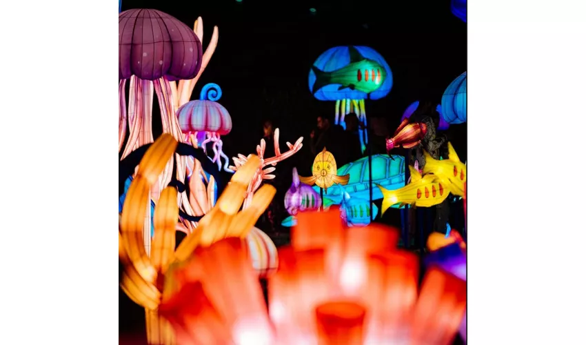 This is Wonderland - Pinocchio - Back To Wood: Entrada