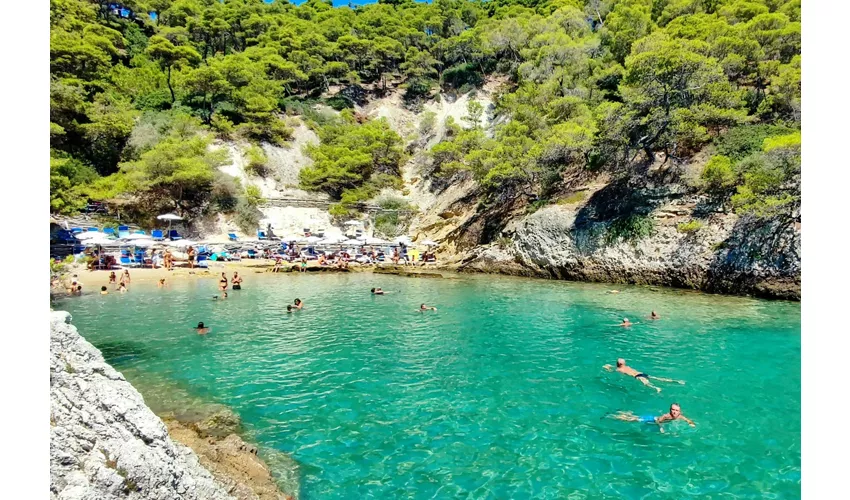 Islas Tremiti: Excursión guiada en barco desde Peschici