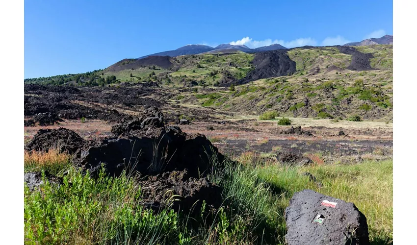 Monte Etna: Excursión guiada de un día desde Taormina + Traslado de ida y vuelta