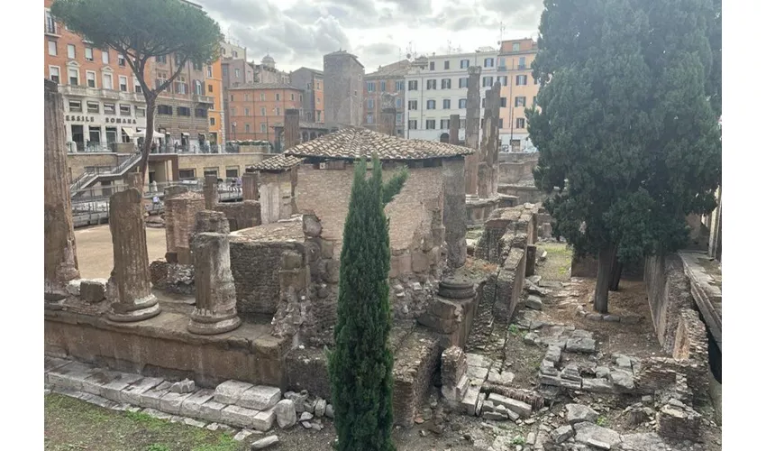 Roma: Entrada Zona Arqueológica Largo Argentina