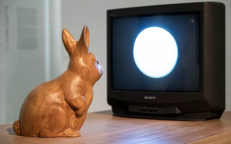 « Rabbit Inhabits the Moon », Turin