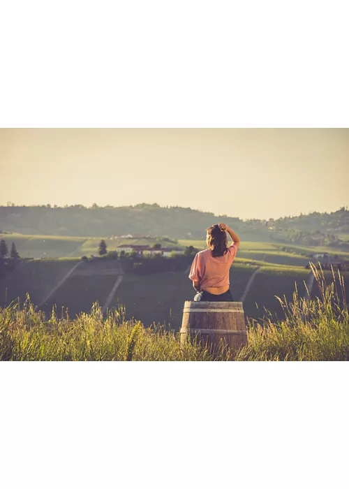 Colline del prosecco