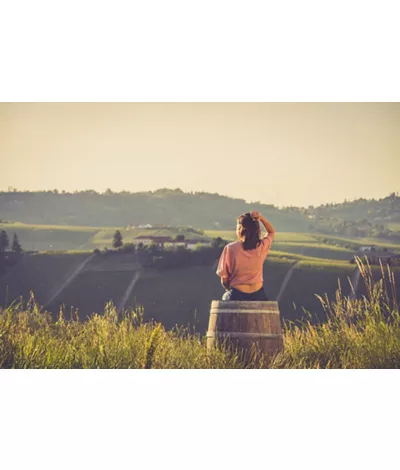 Colline del prosecco