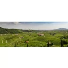 The Prosecco hills: a land of nature, history and culture