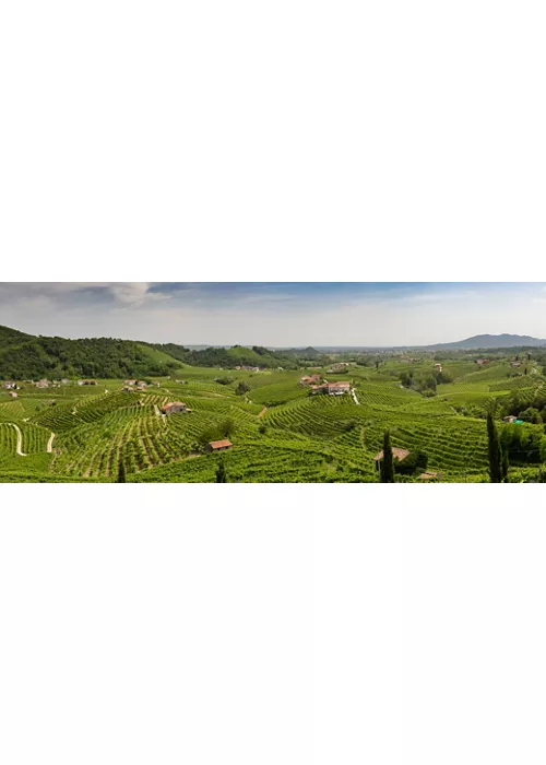 The Prosecco hills: a land of nature, history and culture