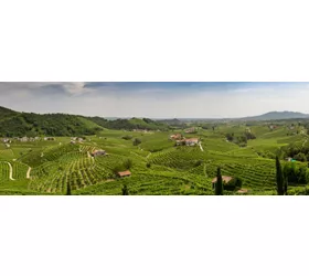 As Colinas do Prosecco de Conegliano e Valdobbiadene, uma viagem entre degustações e aldeias