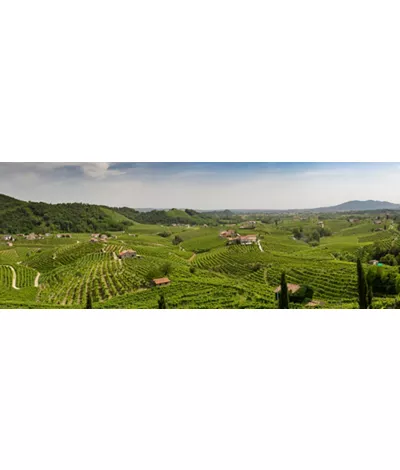 As Colinas do Prosecco de Conegliano e Valdobbiadene, uma viagem entre degustações e aldeias