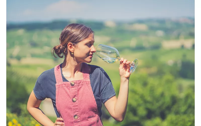 Colline del Prosecco - Veneto