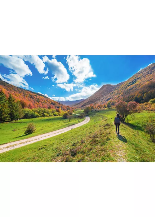 Abruzzo, Lazio and Molise National Park