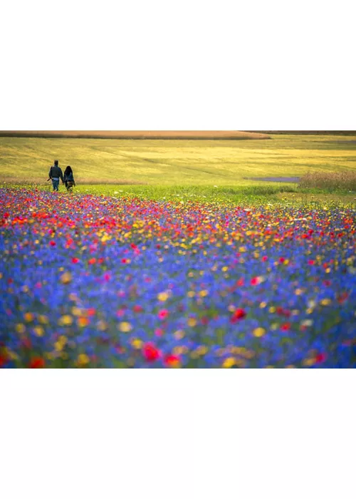 Monti Sibillini National Park