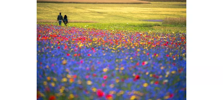 Parque Nacional de los Montes Sibilinos