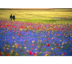Parco Nazionale dei Monti Sibillini