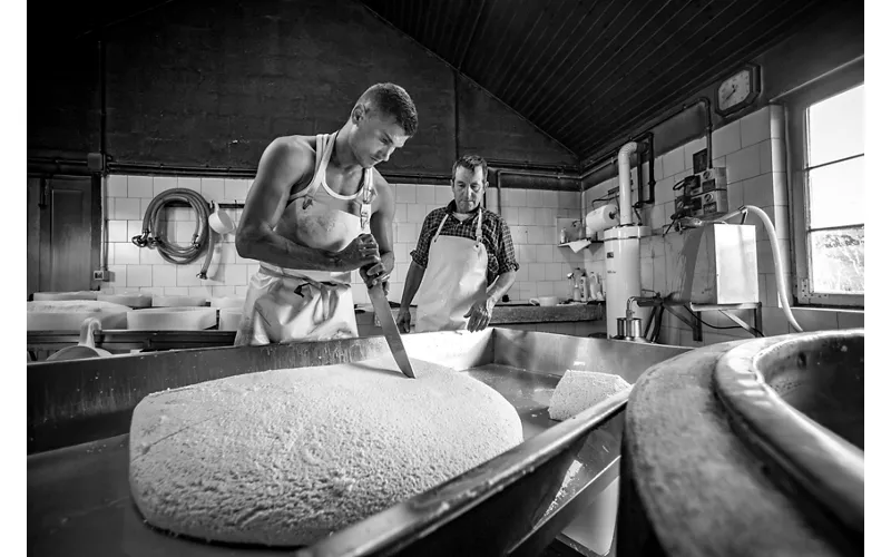 Produzione del formaggio Asiago - Veneto