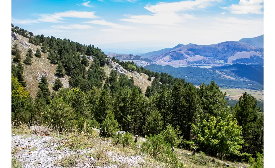 Pollino landscape