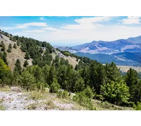 Pollino landscape