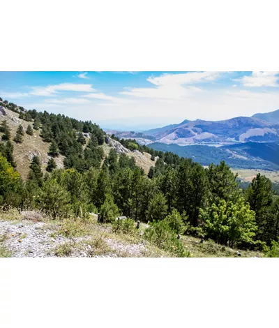 Pollino landscape