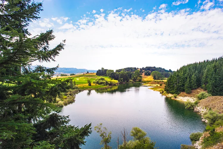 View of Cecita Lake, Sila National Park - Calabria