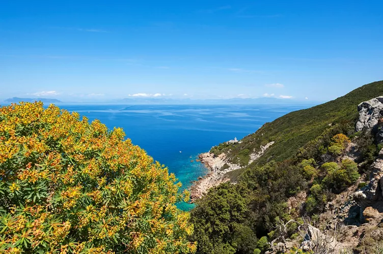 Island of Zannone, Lazio