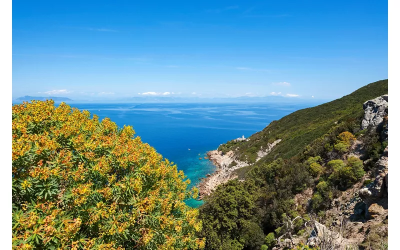 Isola di Zannone, Lazio