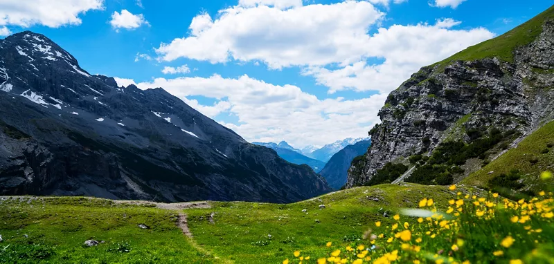 Stelvio National Park