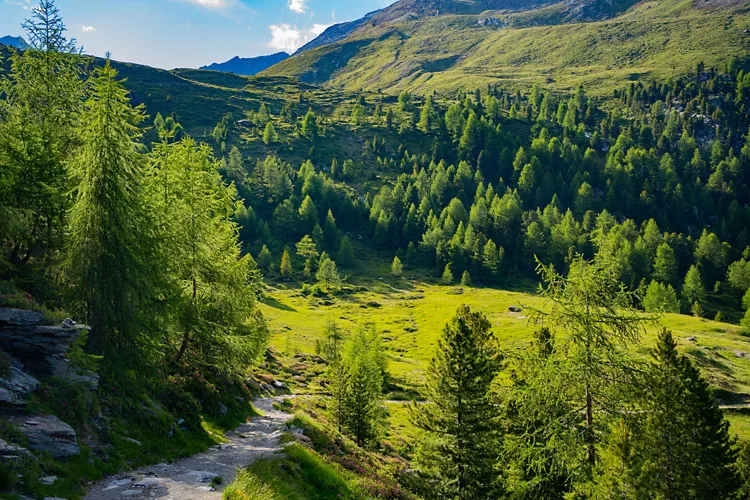 Stelvio National Park