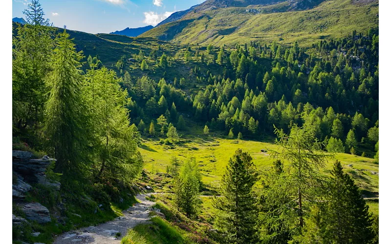 Parque Nacional del Stelvio