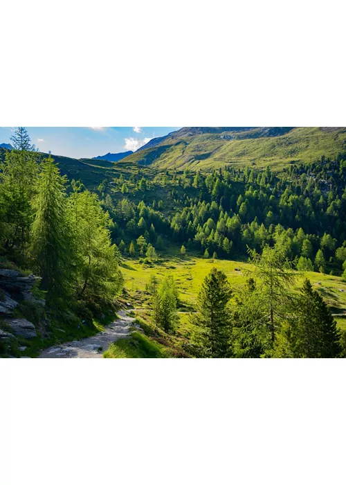 Parque Nacional del Stelvio