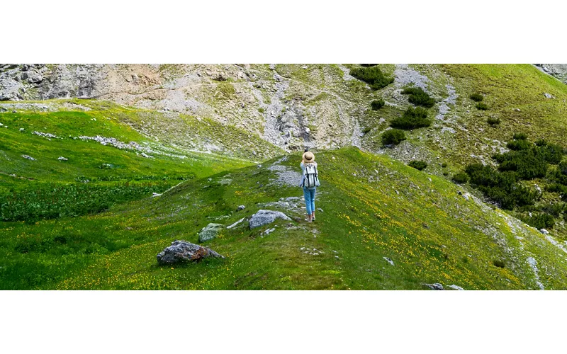 Stelvio National Park