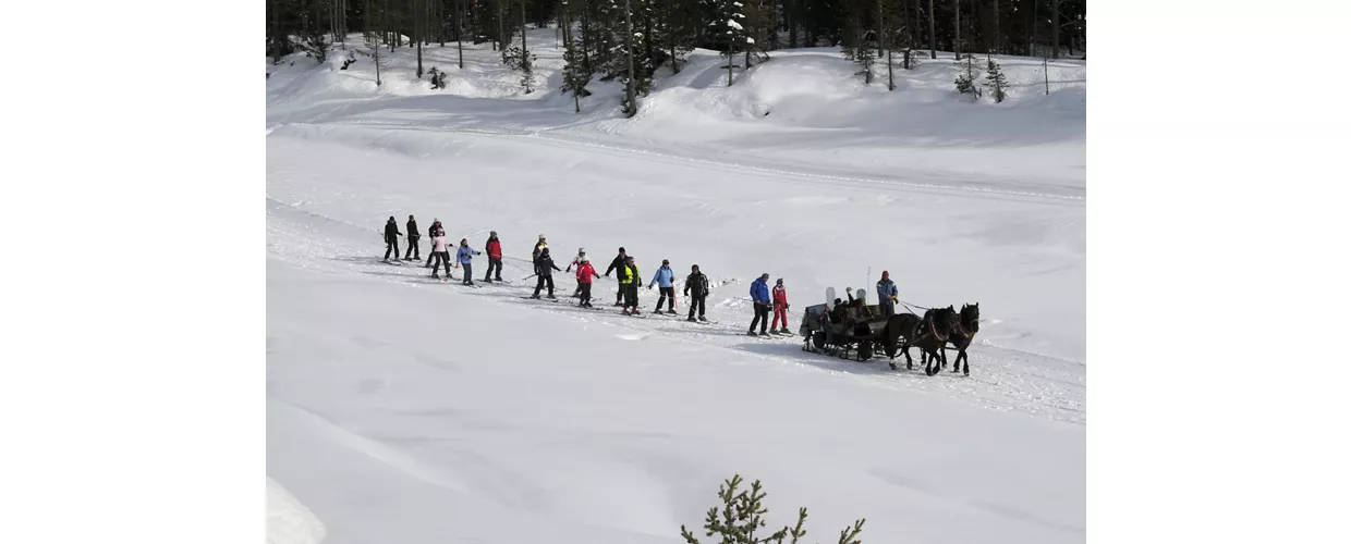 Alta Badia