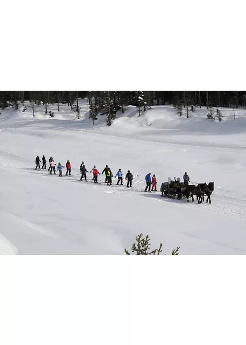 Trineo Scivolone: equipamiento familiar para parques de nieve