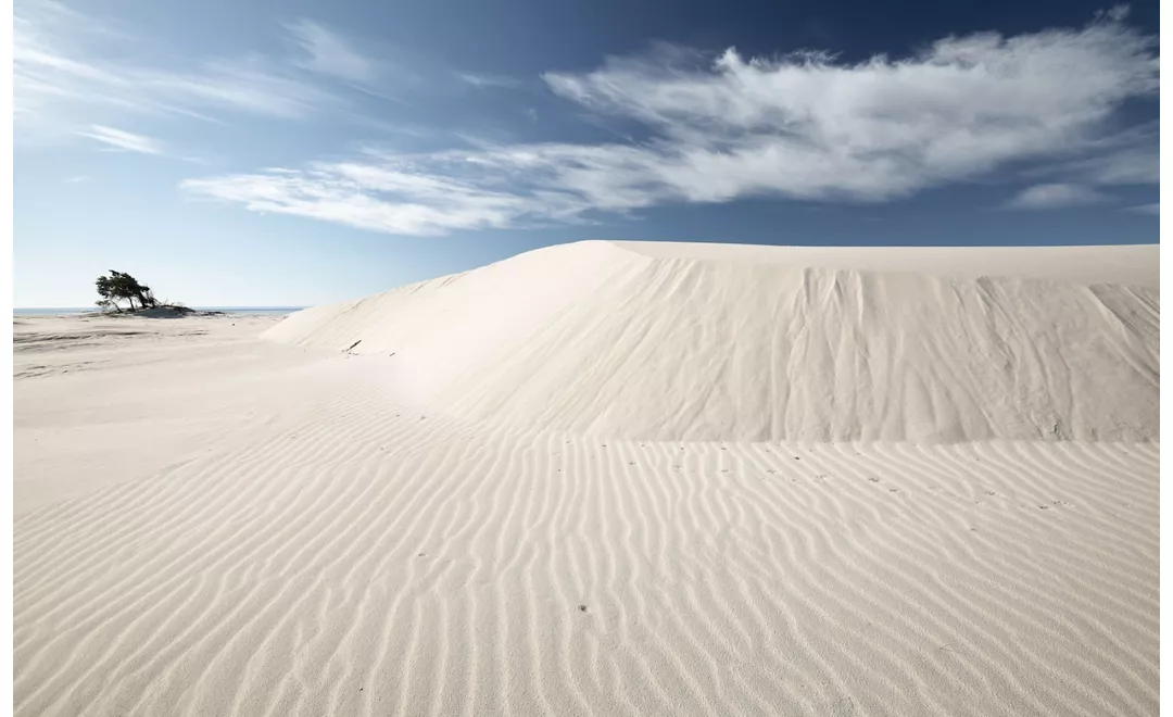 Dune di Porto Pino