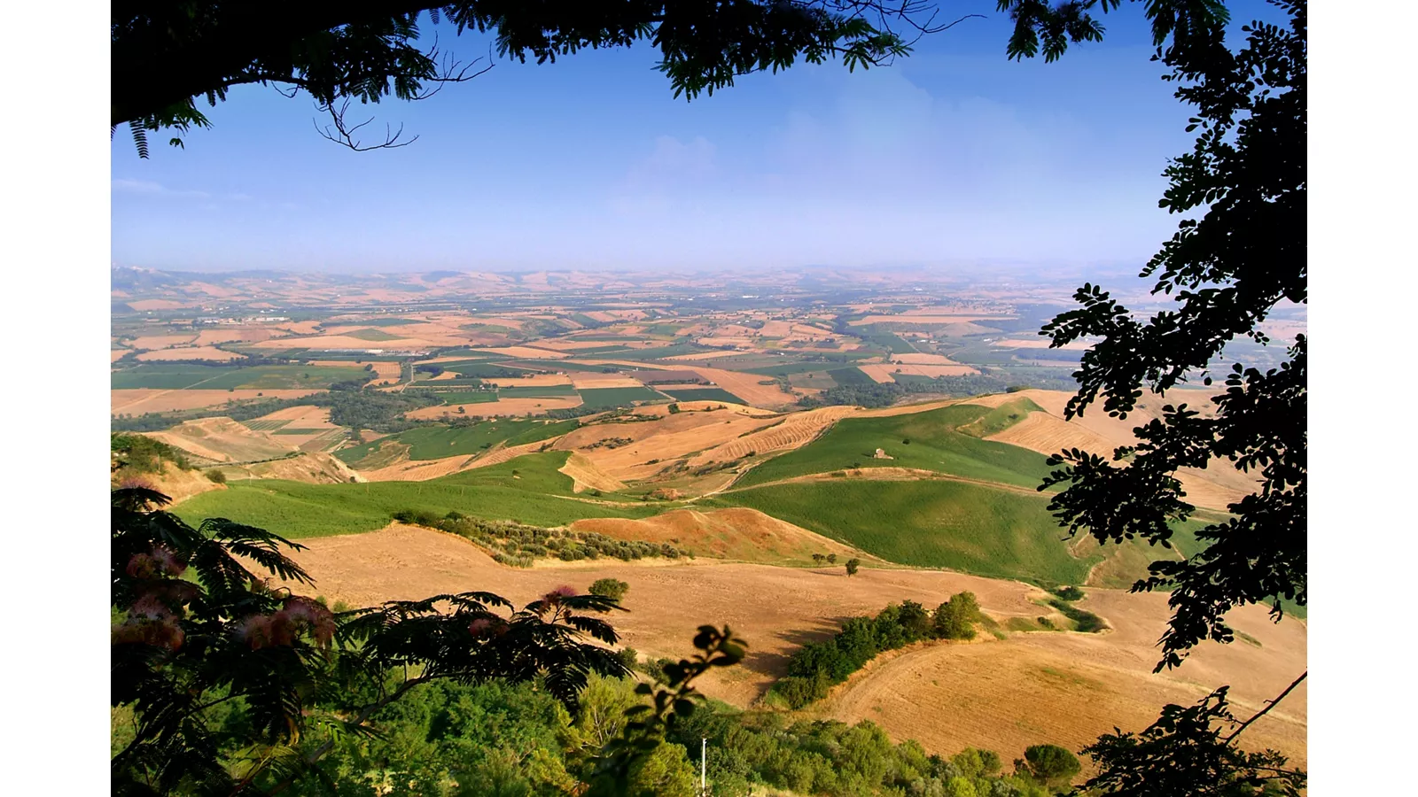 Campagna molisana