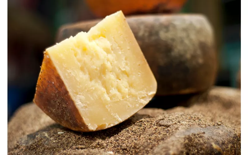 Pecorino