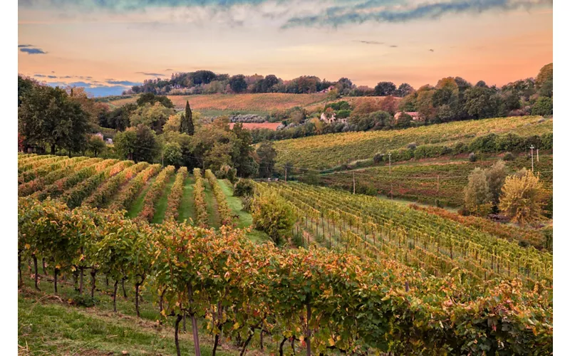 Itinerário Faença-Brisighella