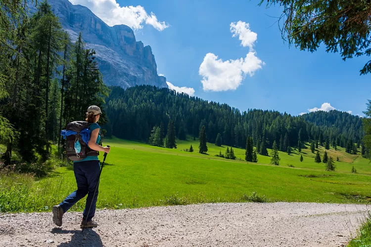 Sci di fondo Pale di San Martino