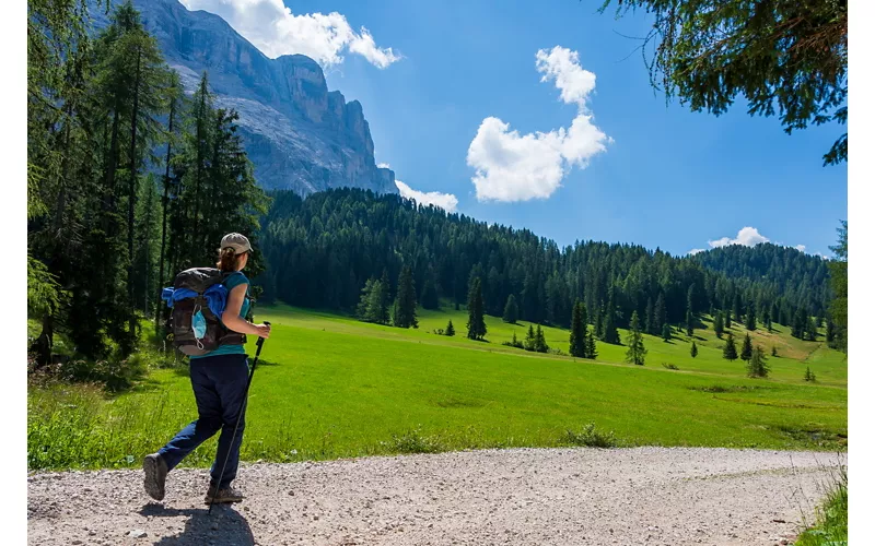 Trekking pale di san Martino