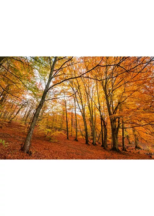 Regionaler Naturpark von Bracciano Martignano