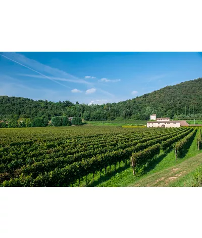 Wine and gastronomy tour among the flavours of Franciacorta