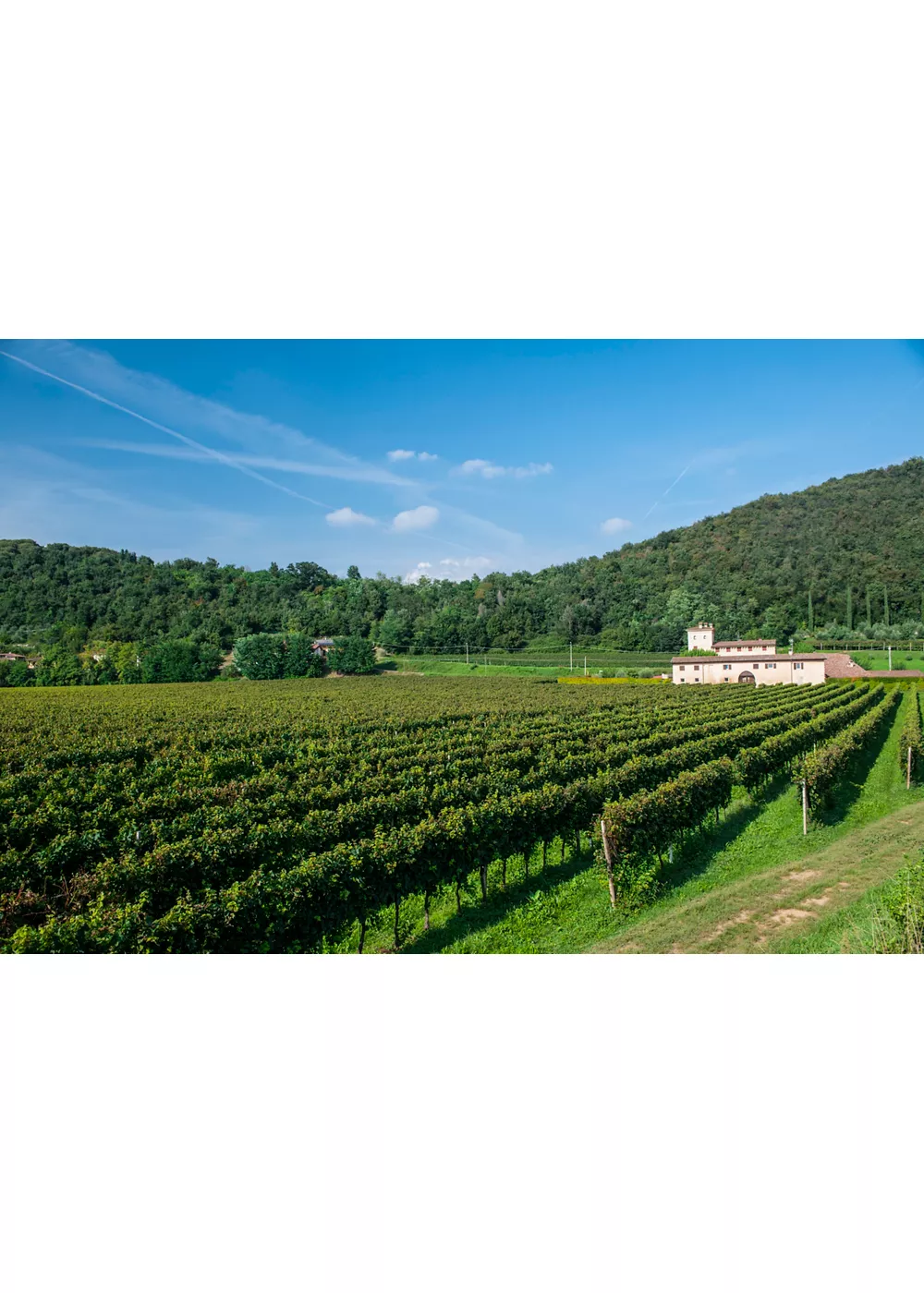 Itinerário enogastronómico entre os aromas de Franciacorta