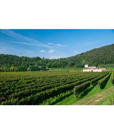 Itinerário enogastronómico entre os aromas de Franciacorta