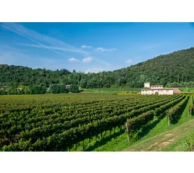 Itinéraire œnogastronomique parmi les parfums de la Franciacorta