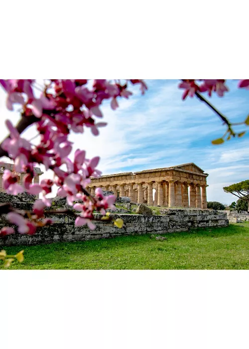 Der Cilento, zwischen unberührten Stränden, wilder Natur und heimeligen Dörfern