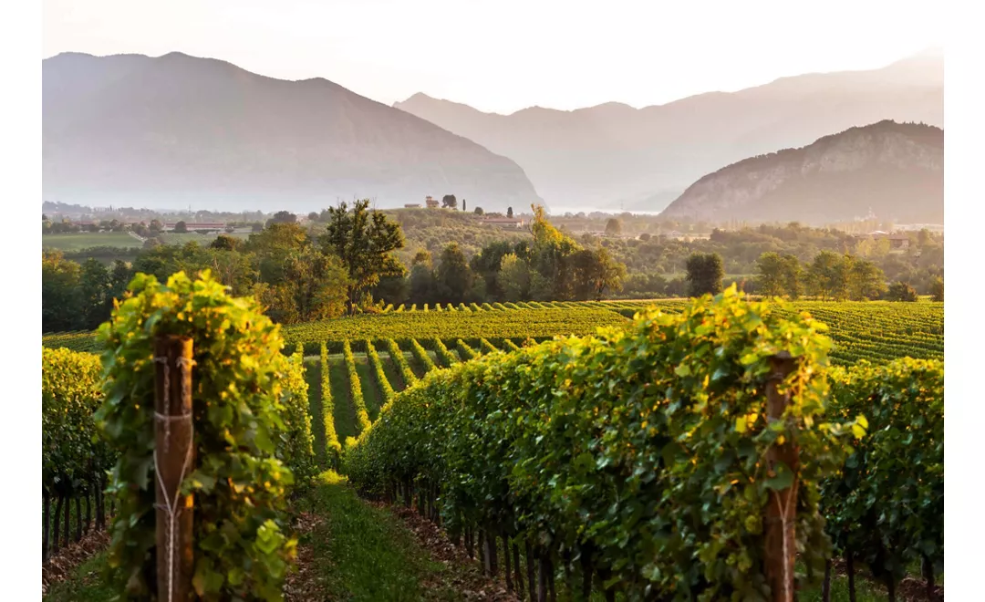 Cuore della Franciacorta: in buca tra vigneti e bollicine