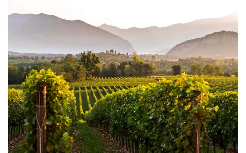 Cuore della Franciacorta: in buca tra vigneti e bollicine