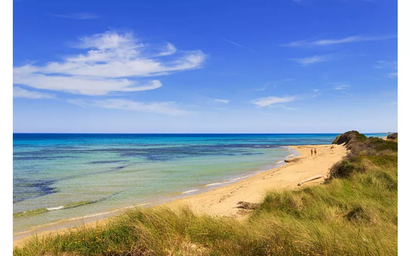 Fasano - Sulle sponde adriatiche, incorniciato da Ulivi e vegetazione mediterranea