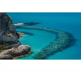 Tropea